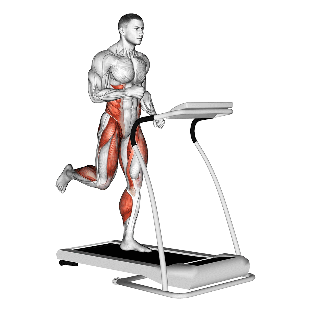 Treadmill demonstration