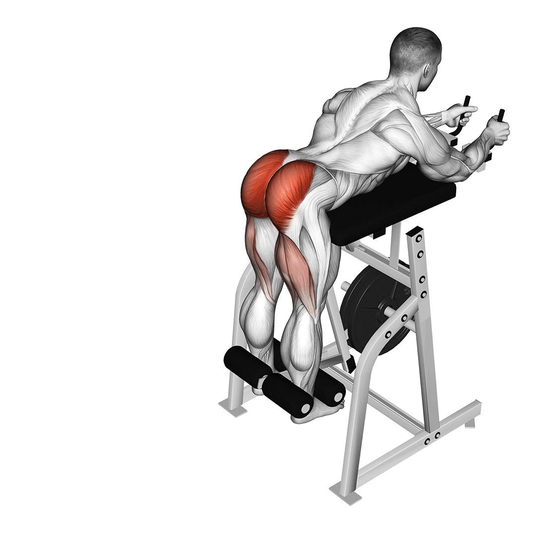 Reverse Hyperextension Machine demonstration