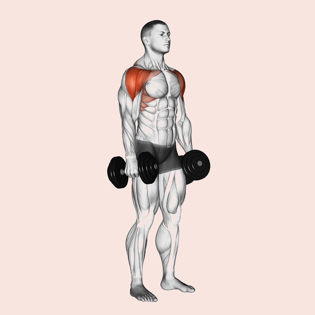 Dumbbell Lateral To Front Raise demonstration