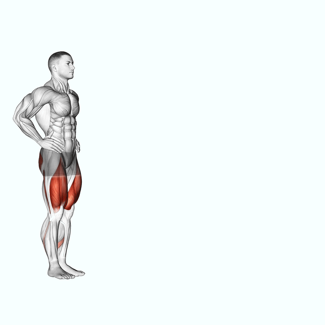 Walking Lunge demonstration