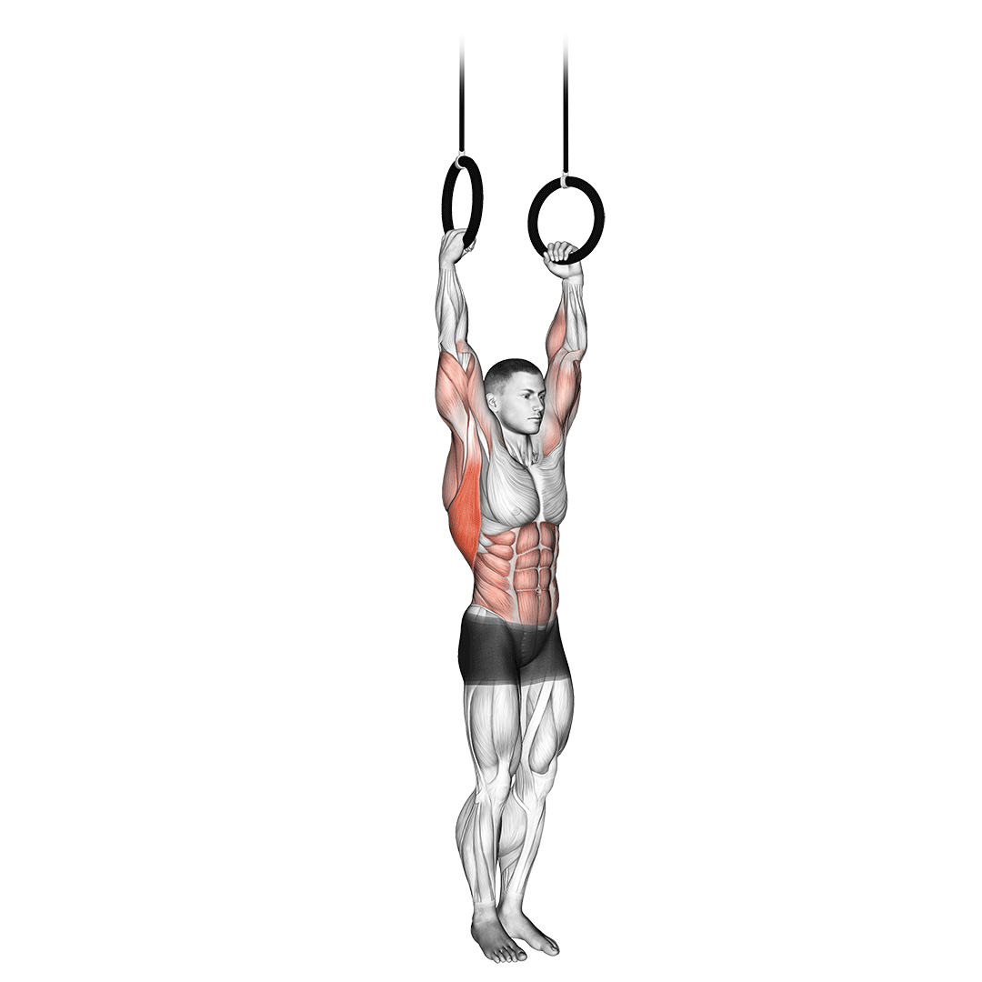 Muscle Up demonstration