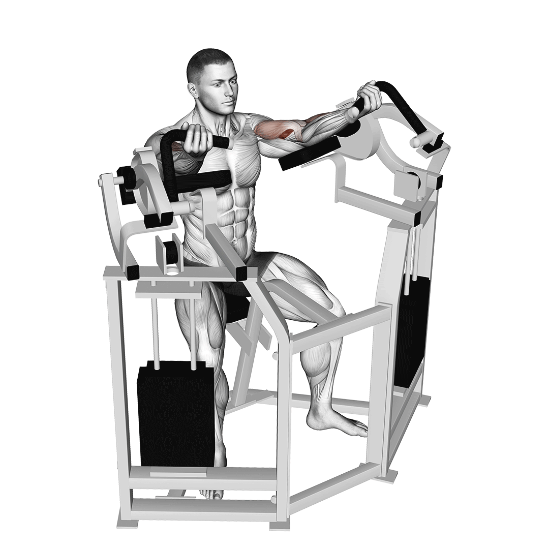 Machine Bicep Curl demonstration
