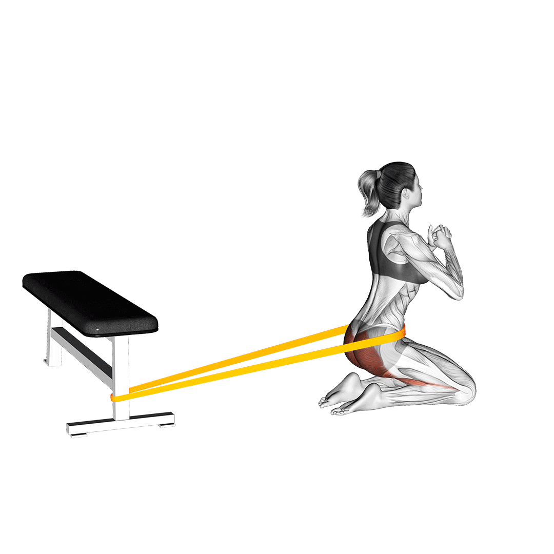 Resistance Band Hip Thrusts On Knees demonstration