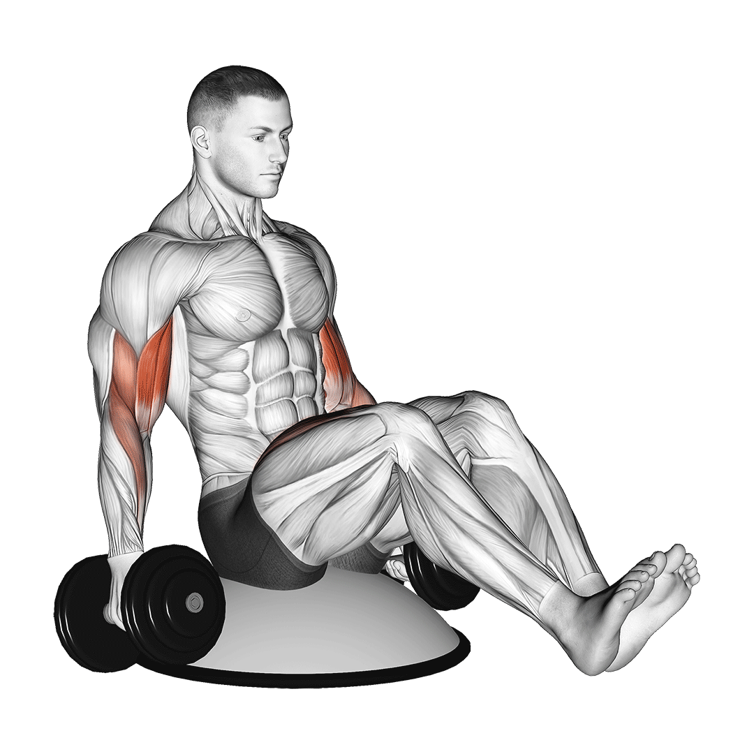 Dumbbell Biceps Curl V-Sit On Bosu Ball demonstration