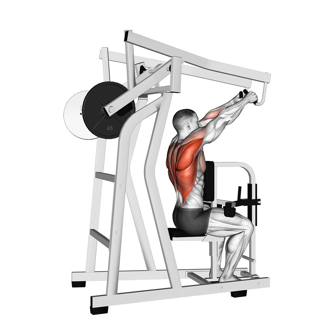 Machine High Row demonstration