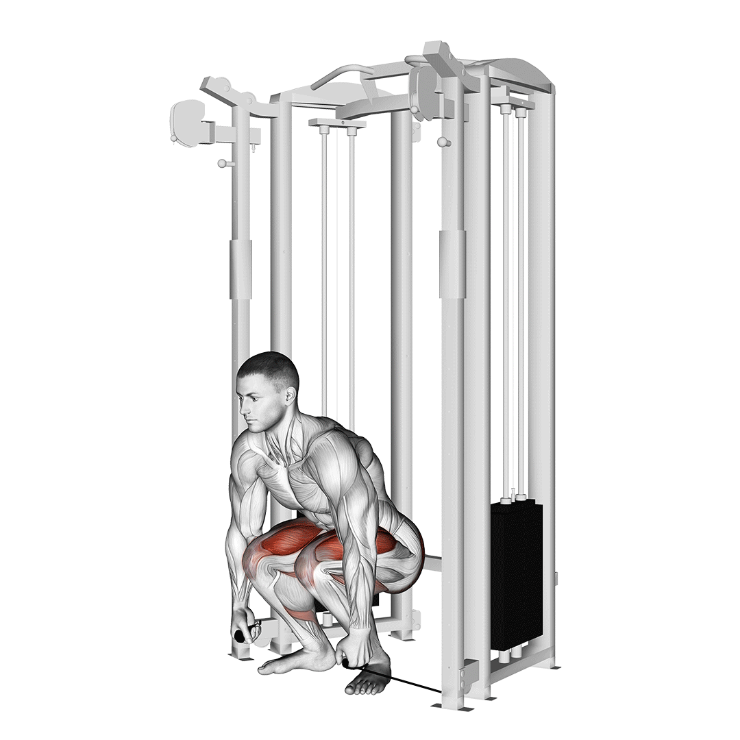 Cable Deadlift demonstration