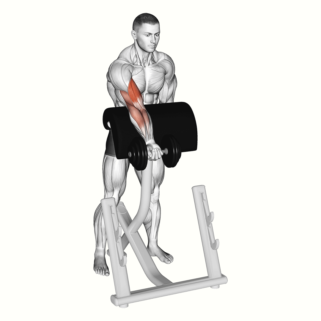 Dumbbell Standing Zottman Preacher Curl demonstration