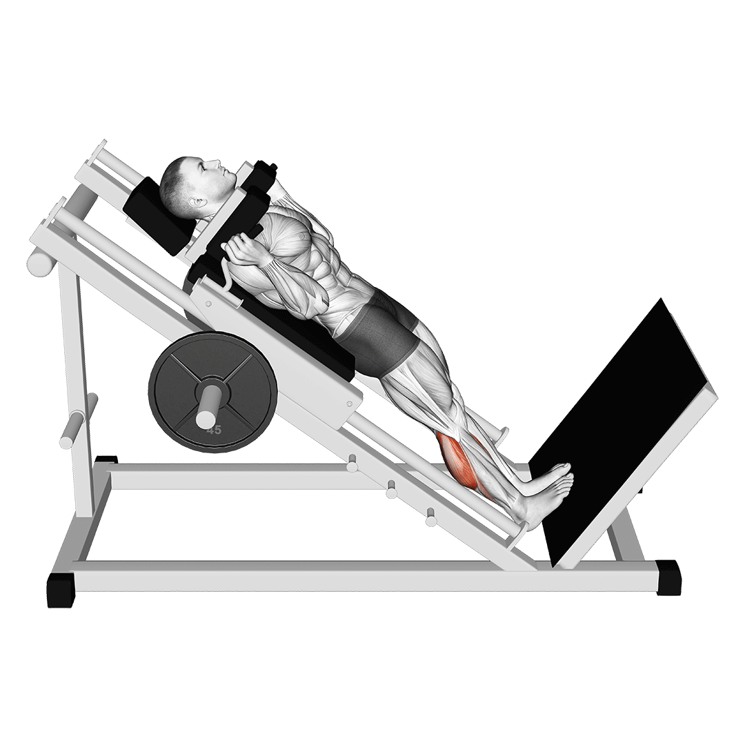 Hack Calf Raise demonstration