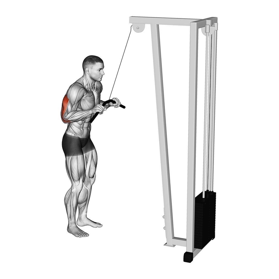 Cable Pushdown demonstration
