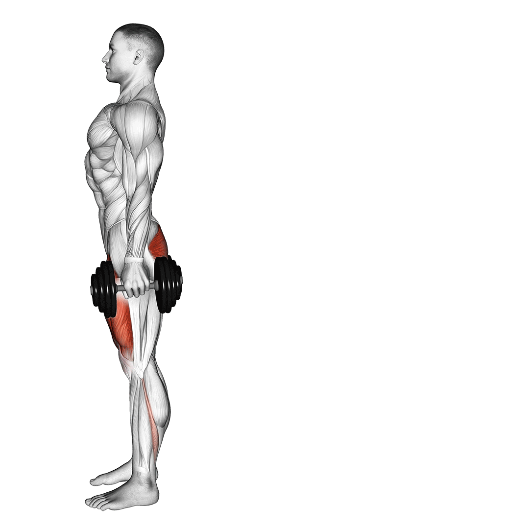 Dumbbell Rear Lunge demonstration