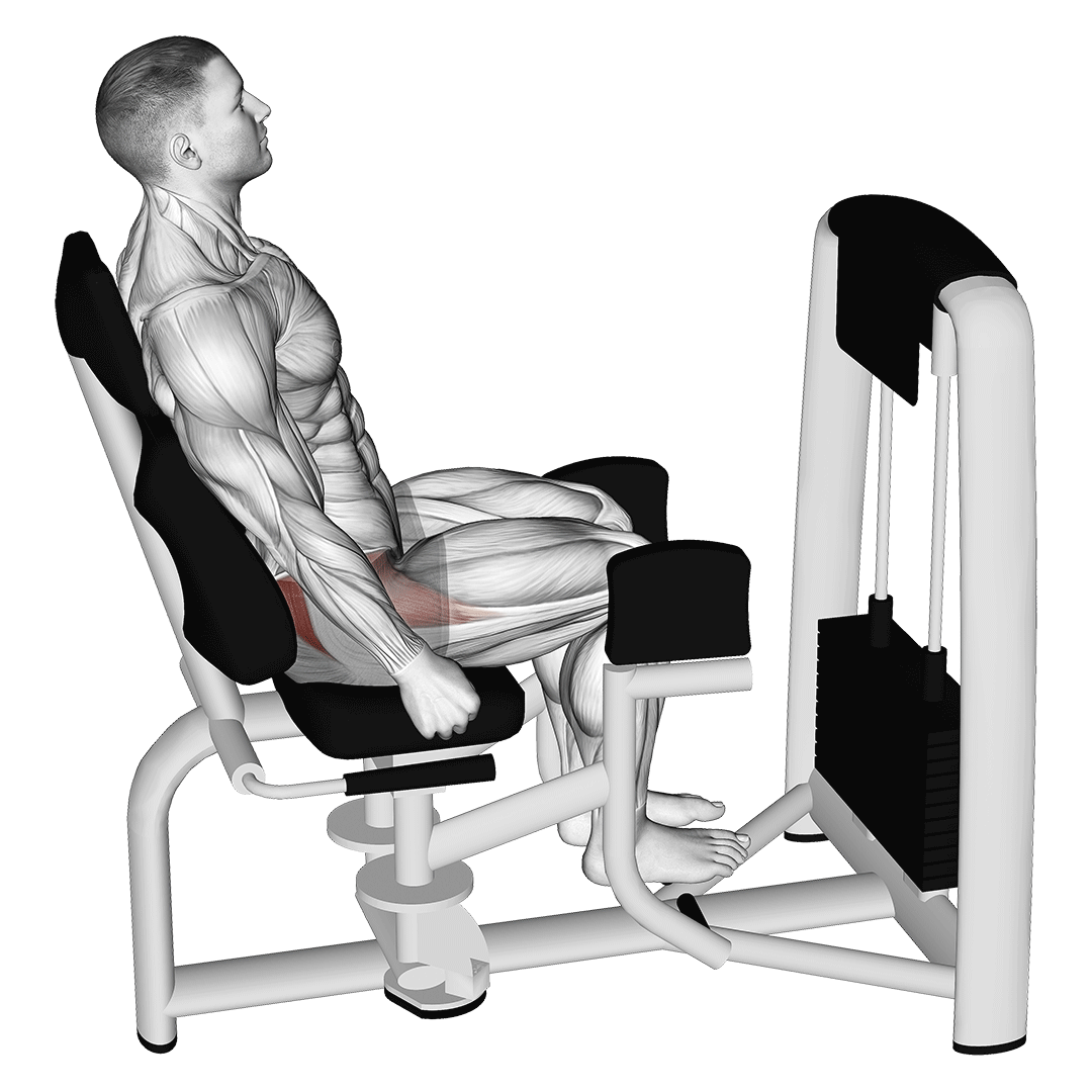 Hip Abduction Machine demonstration