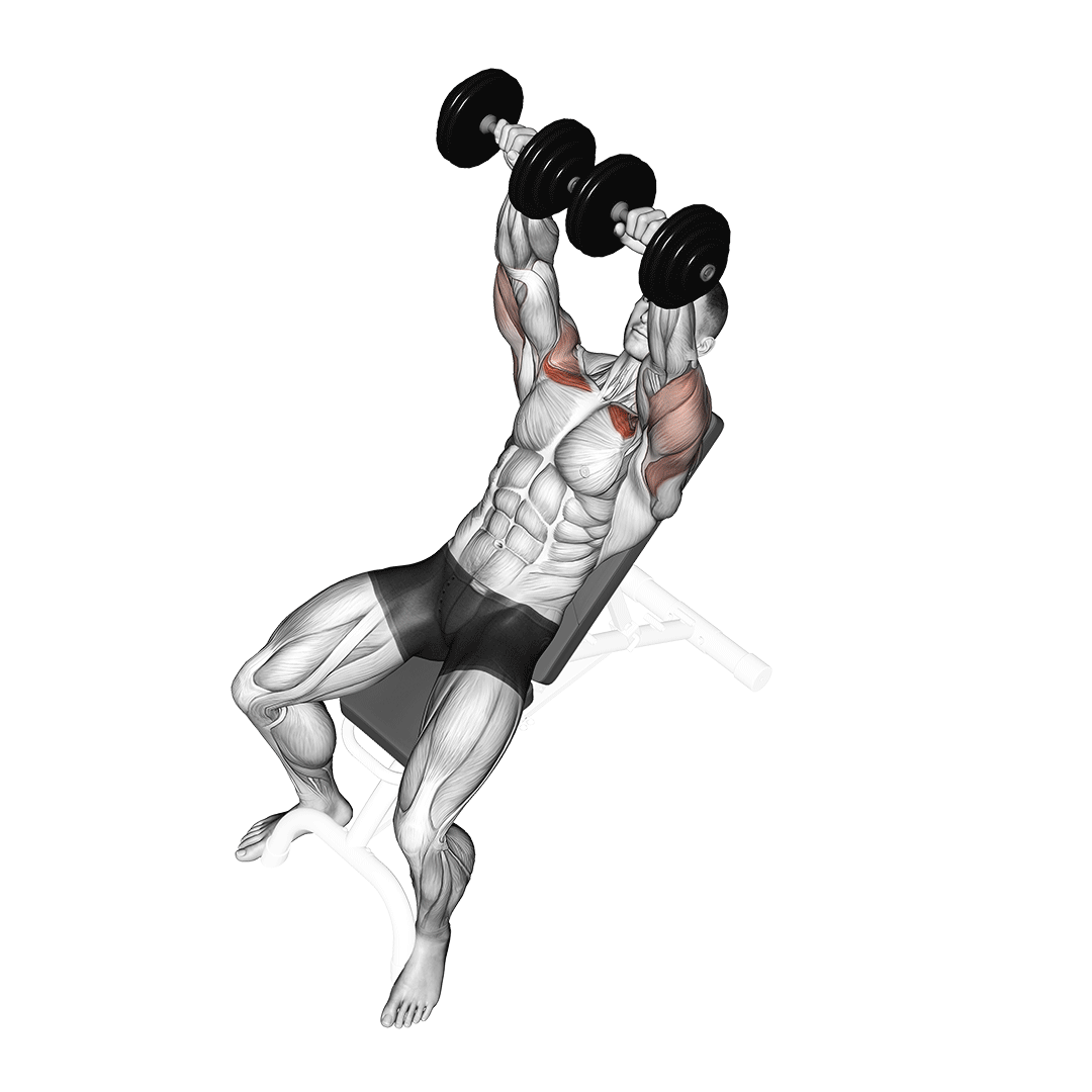 Dumbbell Incline Bench Press demonstration