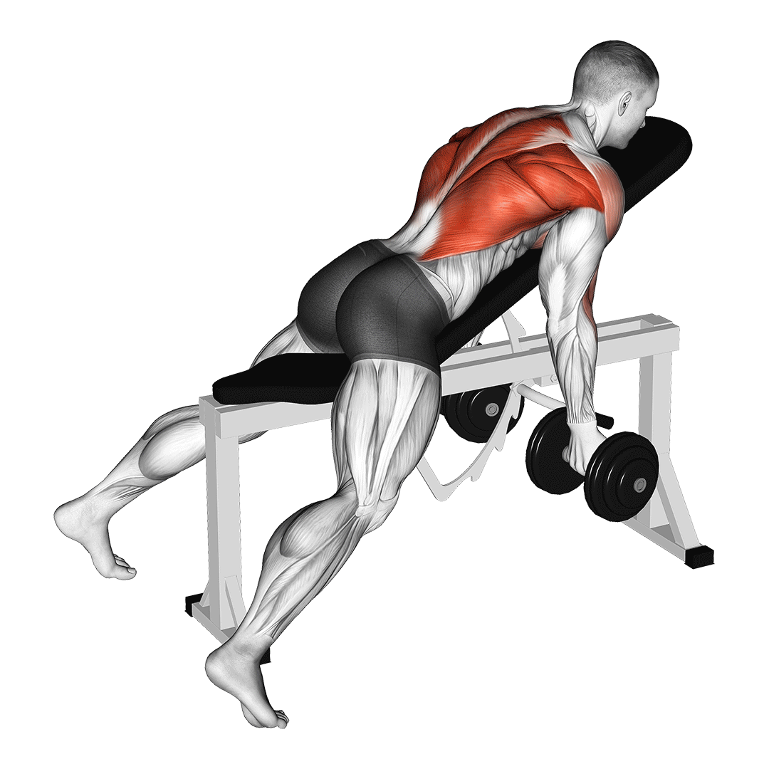 Dumbbell Lying Rear Delt Row demonstration