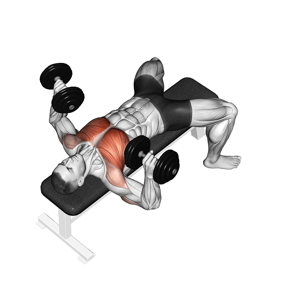 Dumbbell Bench Press demonstration