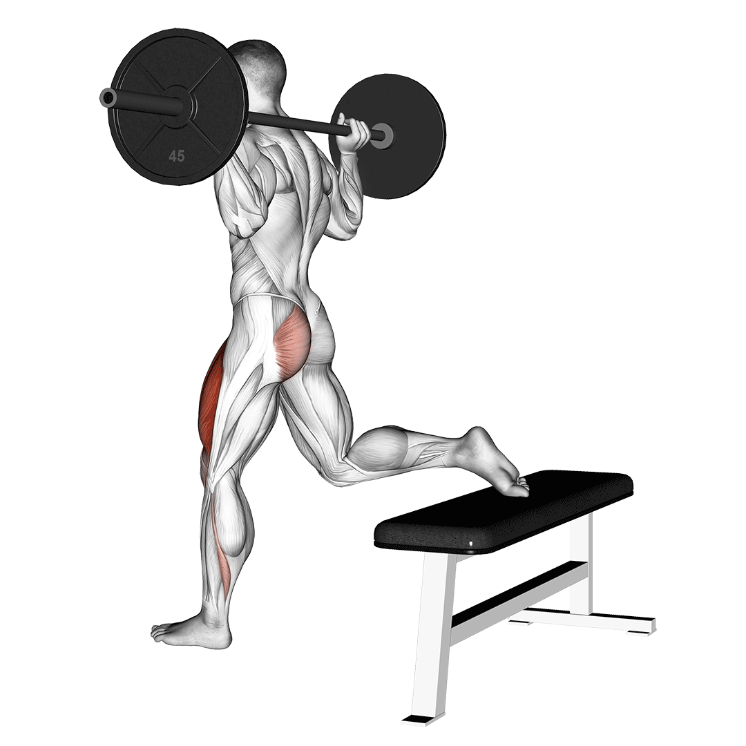 Barbell Floor Press demonstration