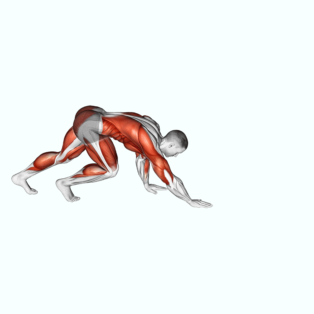 Bear Crawl demonstration