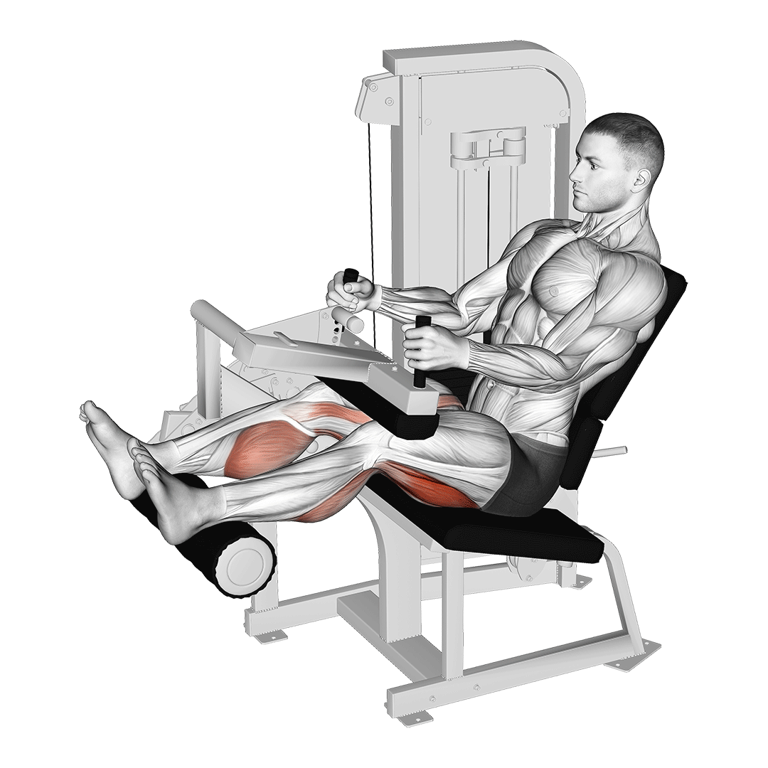 Seated Leg Curl Machine demonstration