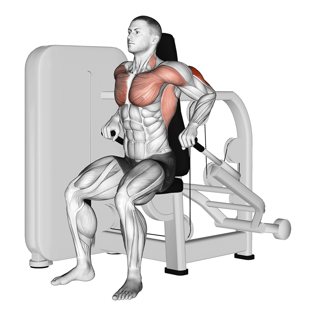Machine Seated Dip demonstration