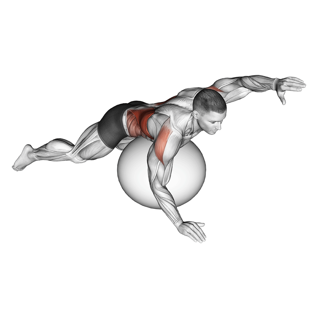 Exercise Ball Alternating Arm Ups demonstration