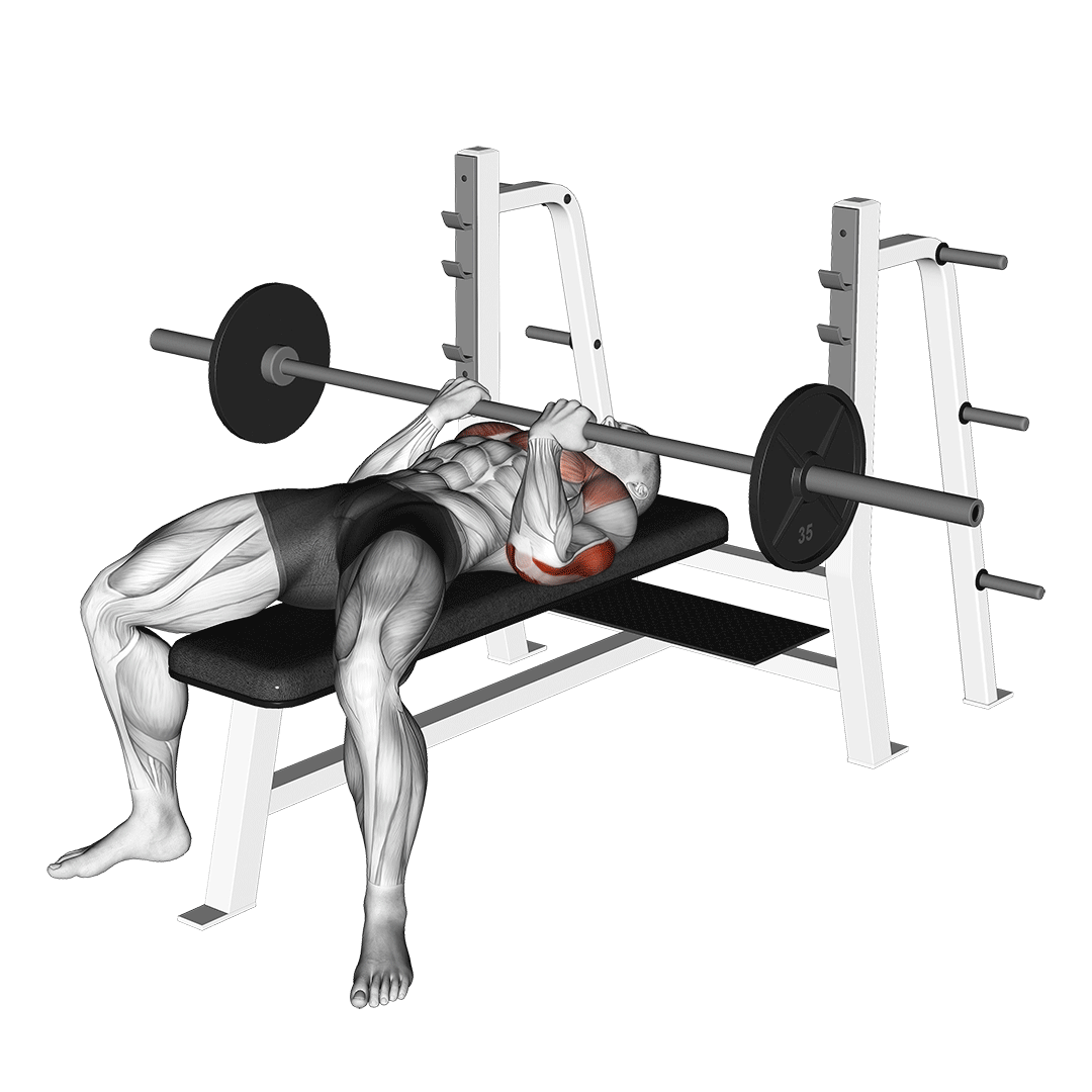 Barbell Reverse Close-Grip Bench Press demonstration