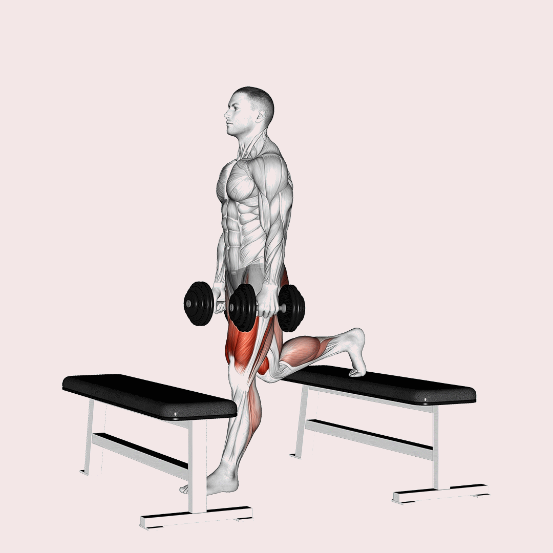 Dumbbell Step-Up Split Squat demonstration