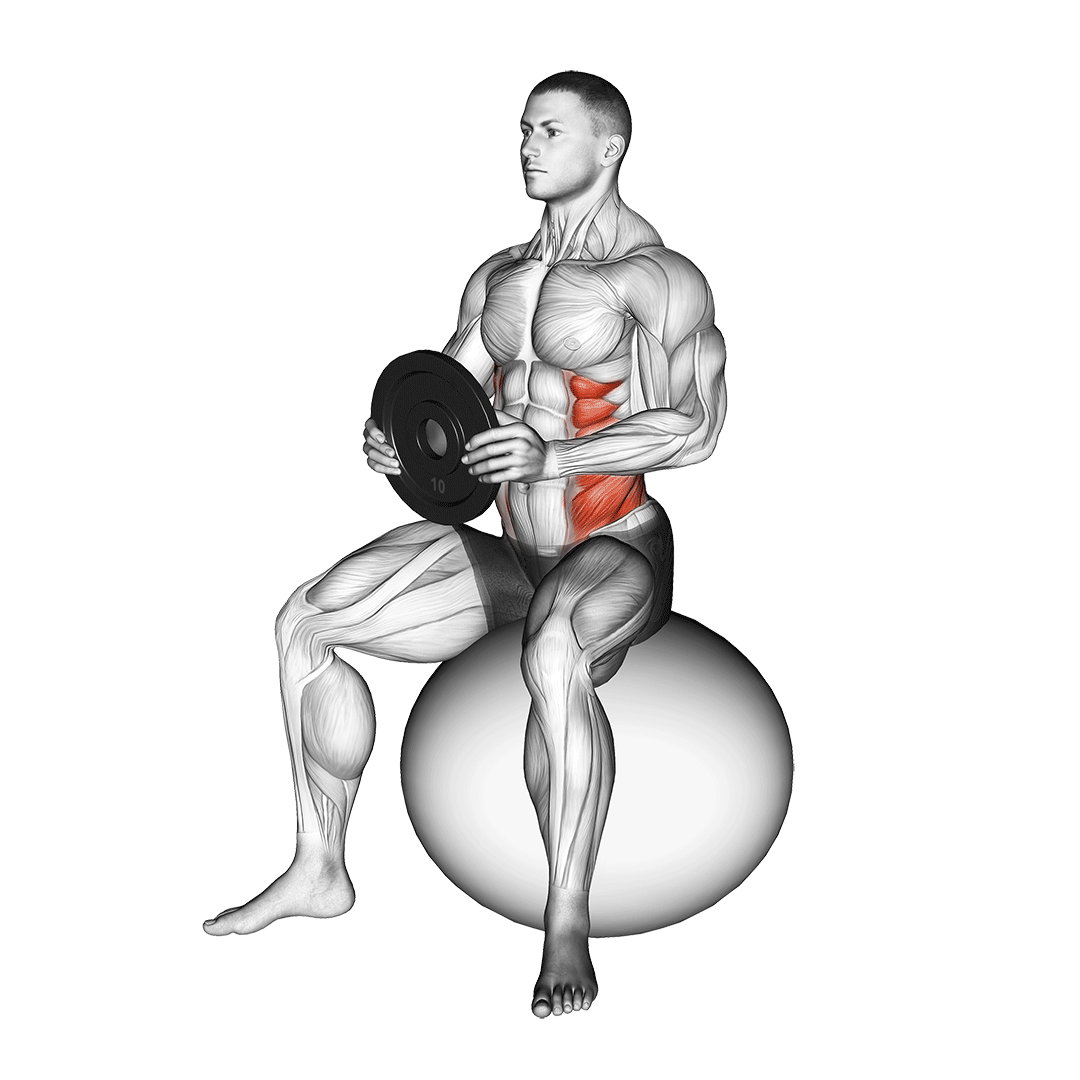 Weighted Seated Twist (On Stability Ball) demonstration