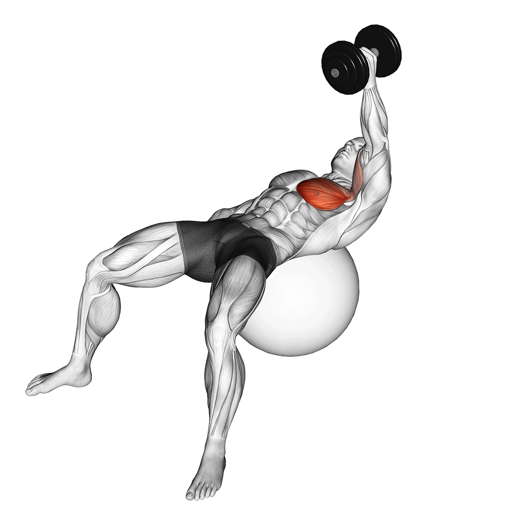 Dumbbell One Arm Fly On Exercise Ball demonstration