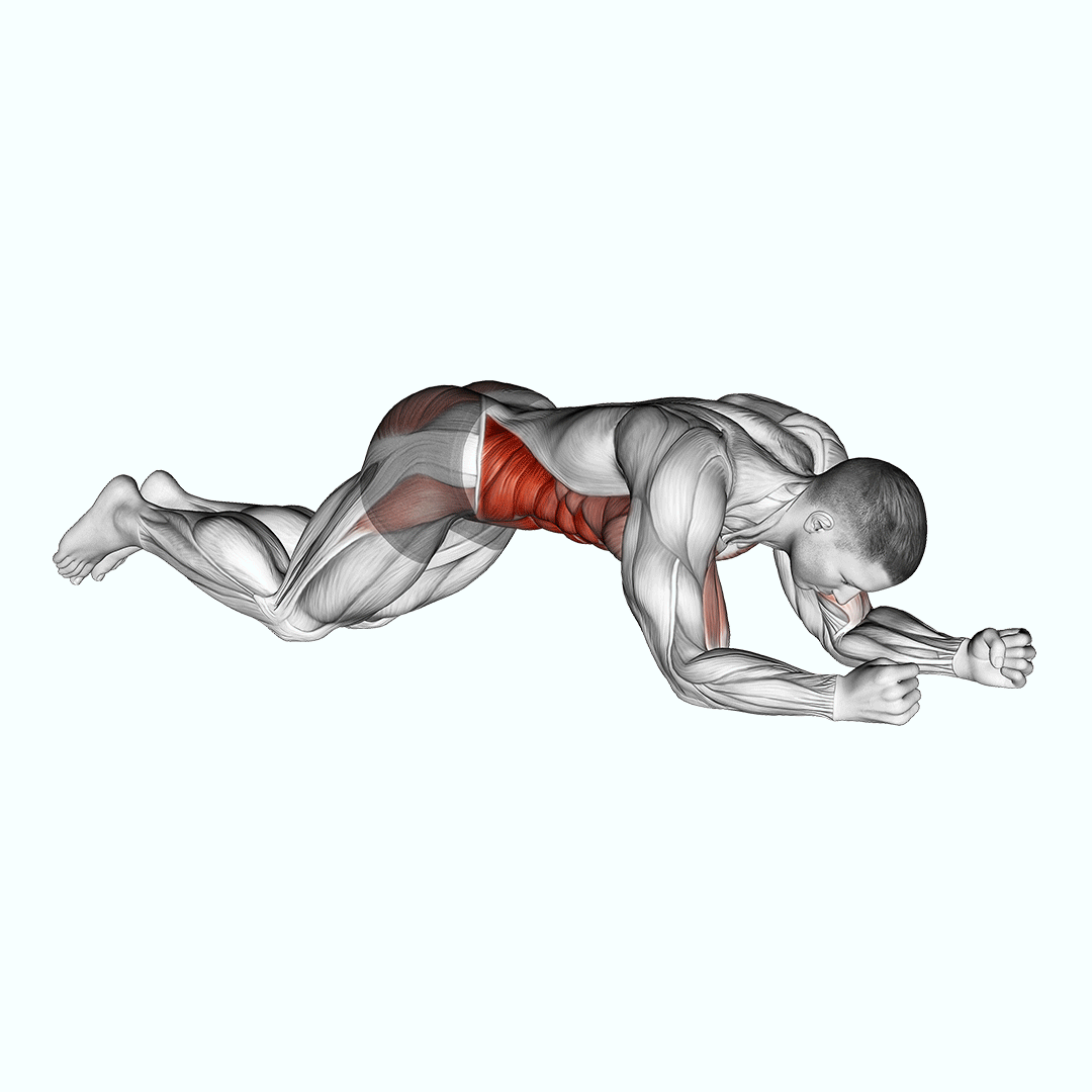 Kneeling Plank Tap Shoulder demonstration