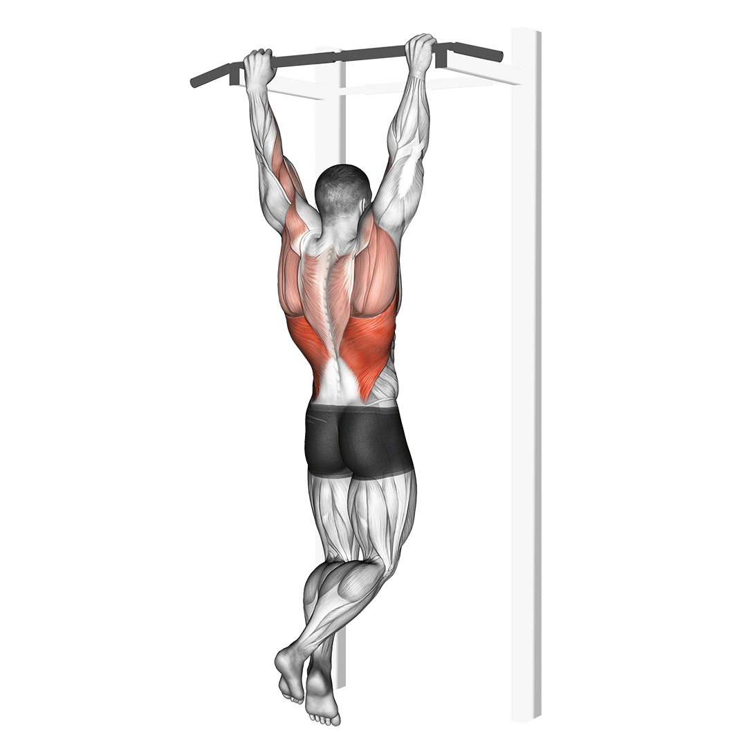 Rocky Pull-Up Pulldown demonstration